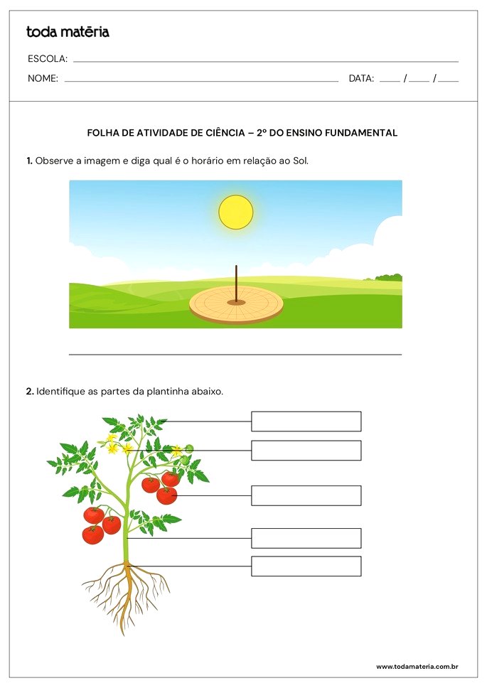 Folha de atividade de ciências 02 para o 2º do ensino fundamental -