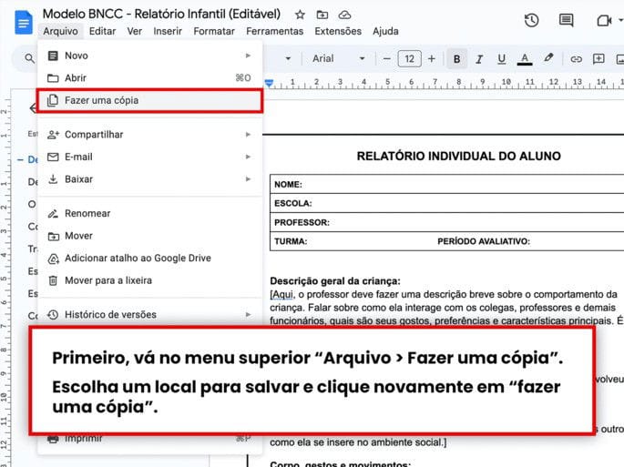 indicações de como fazer cópia do relatório individual para educação infantil