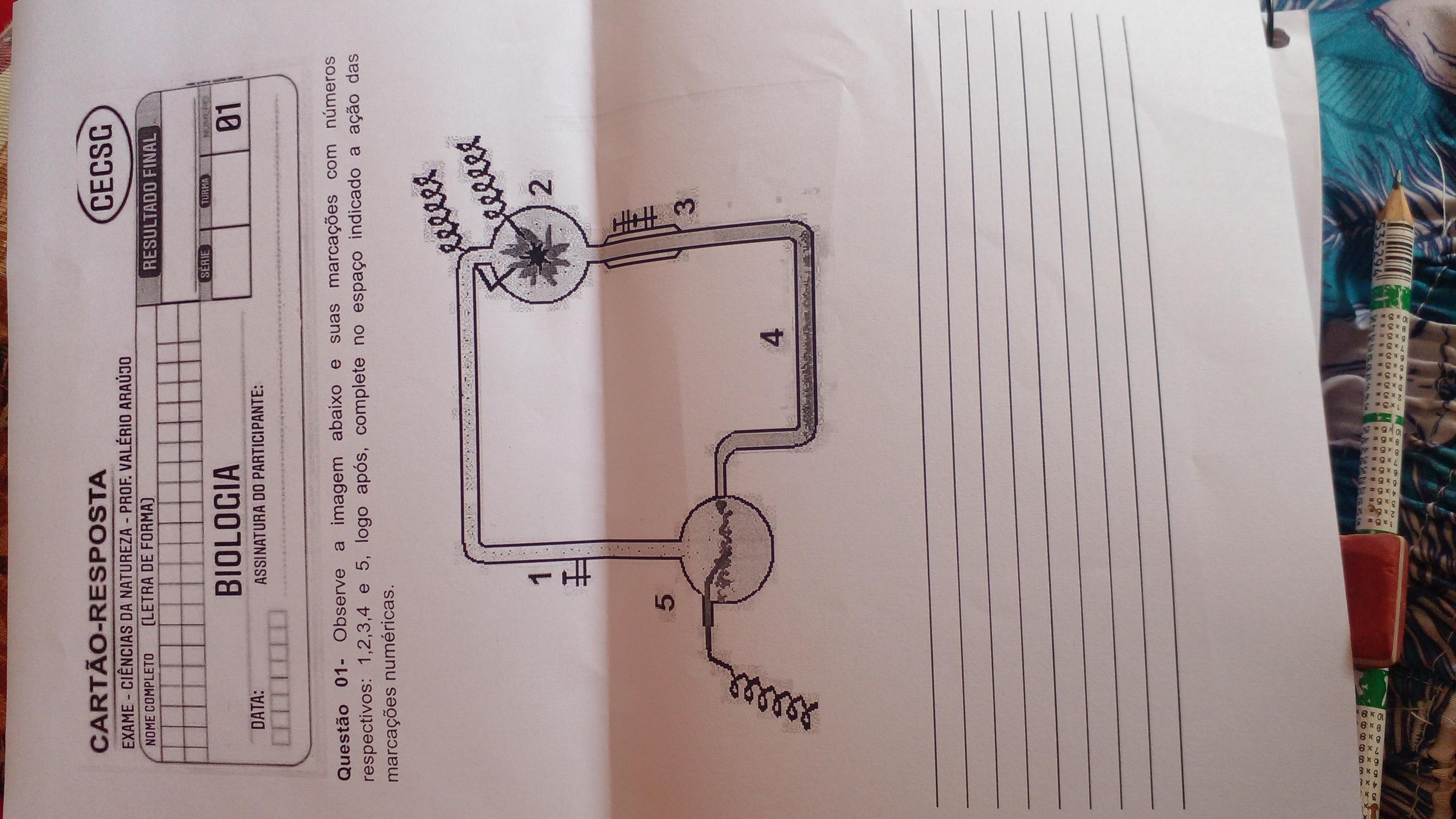 Observe a imagem abaixo e suas marcações com números respectivos 1,2,3,4, e 5 logo após complete no espaço indicado a ação das marcações numér