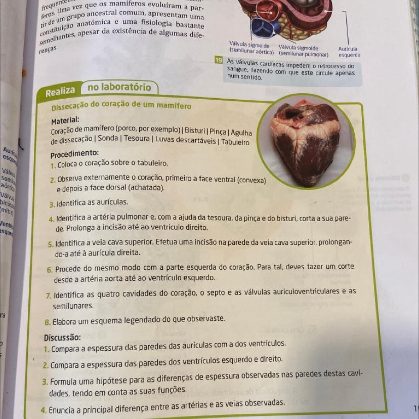 Por favor gente me ajuda