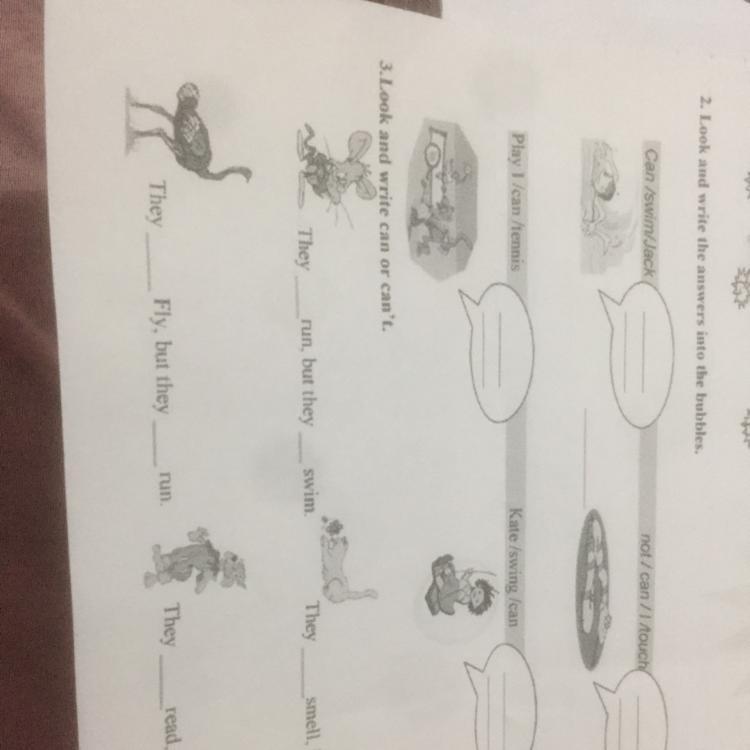 2. Look and write the answers into the bubblesCan /swim Jacknot/can/rouch!Play Vican tennisKate/swing canra3.
