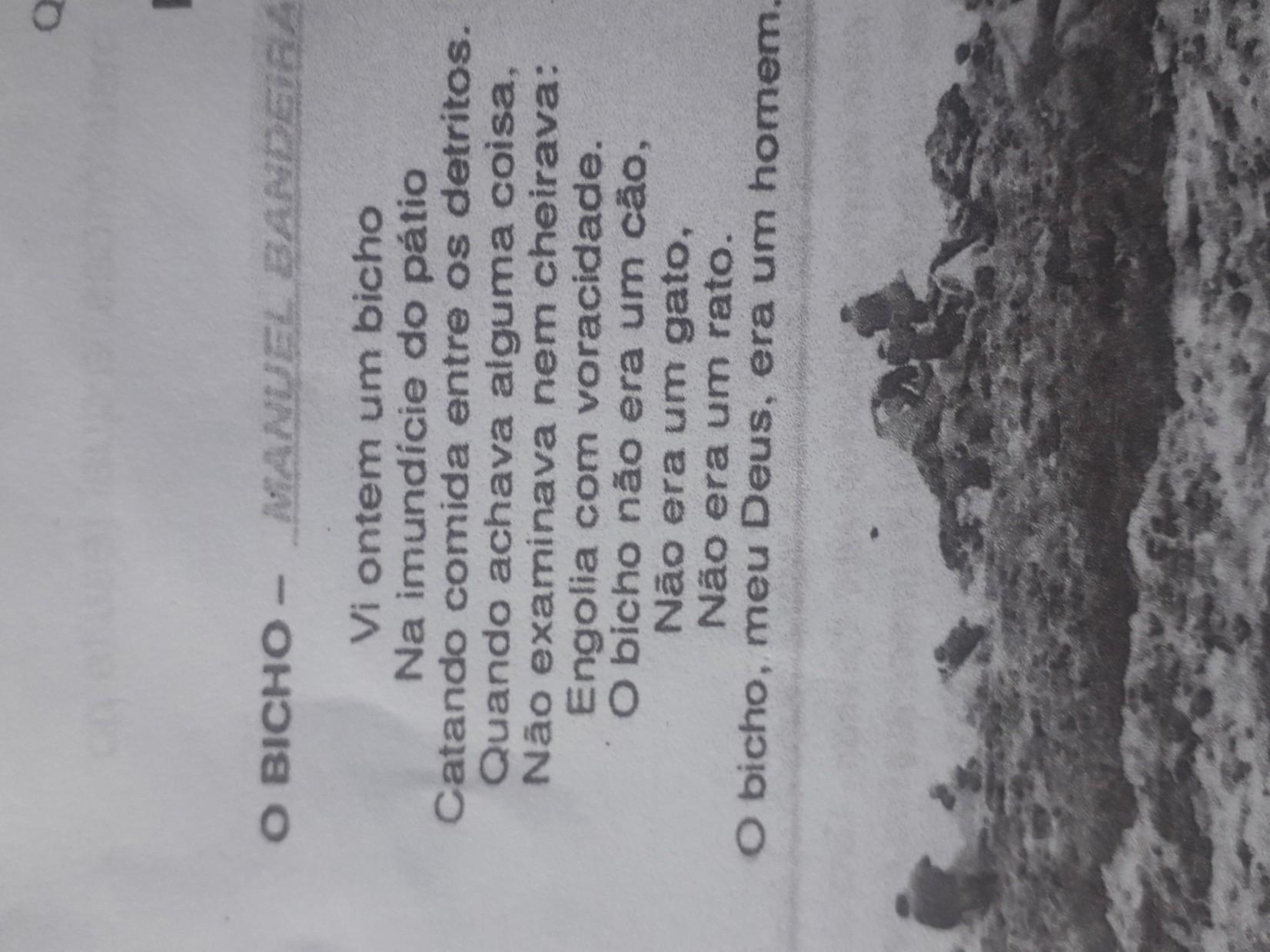 qual a intenção do autor ao usar a palavra