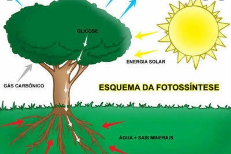 Toda Matéria