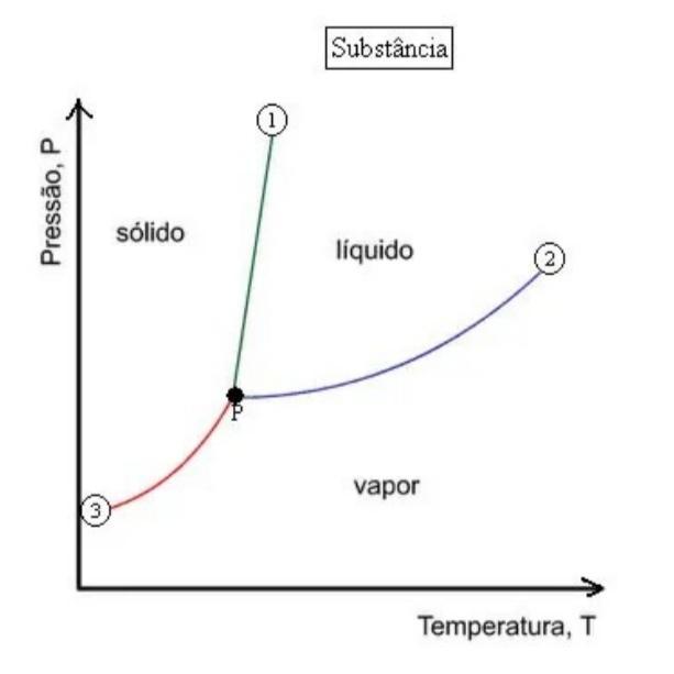 a) O que significa o ponto P marcado no gráfico? b) O que significa as três linhas indicadas pelos pontos 1, 2 e 3? Indique também os es
