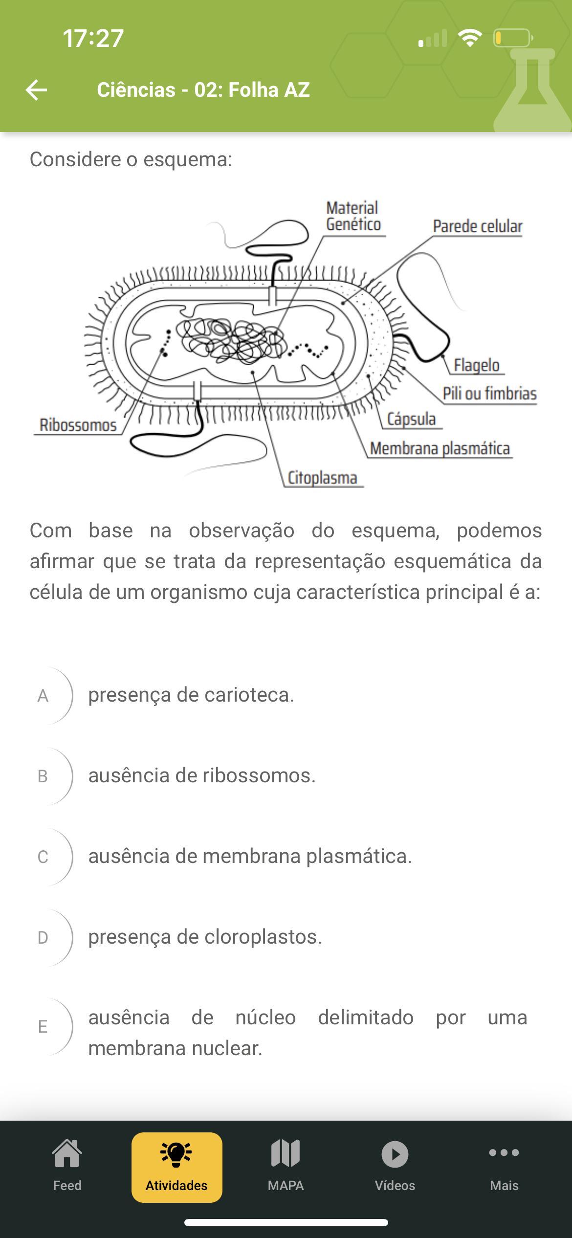 Me ajudem nessa questão: