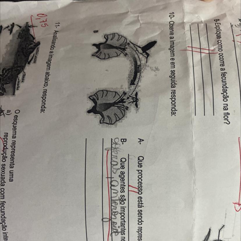 Que processo está sendo representado?