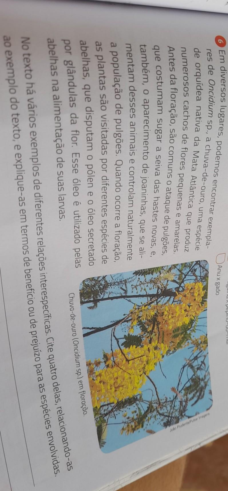 estou precisando rápido!(e ciência)​