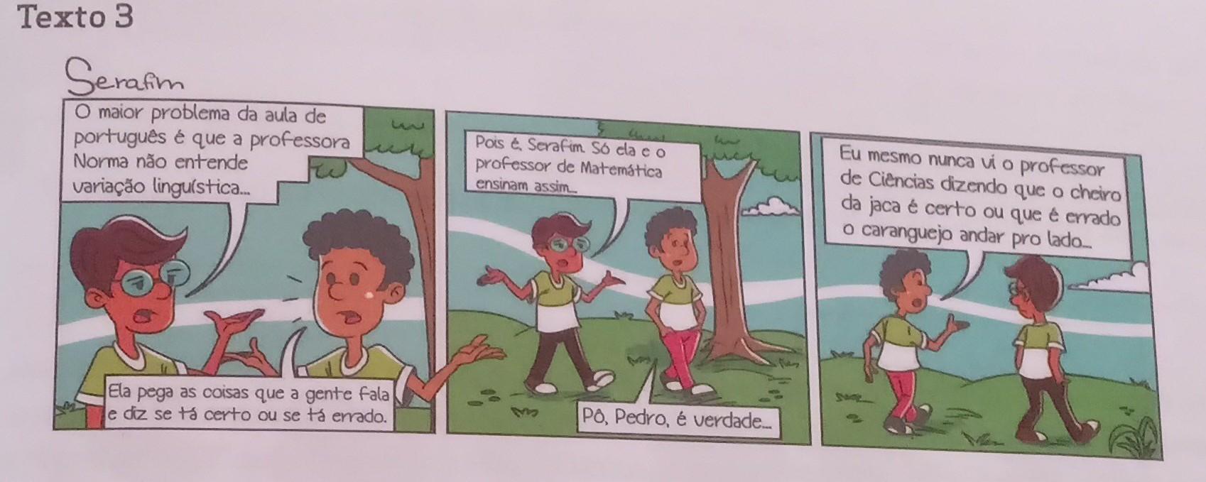 1- Por que, para as crianças, a aula de Português não é boa?2- Qual dos personagens da tira se expressa de maneira informal?