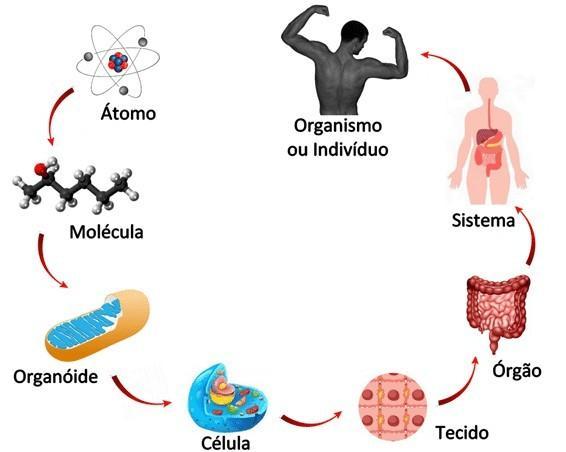 Toda Matéria