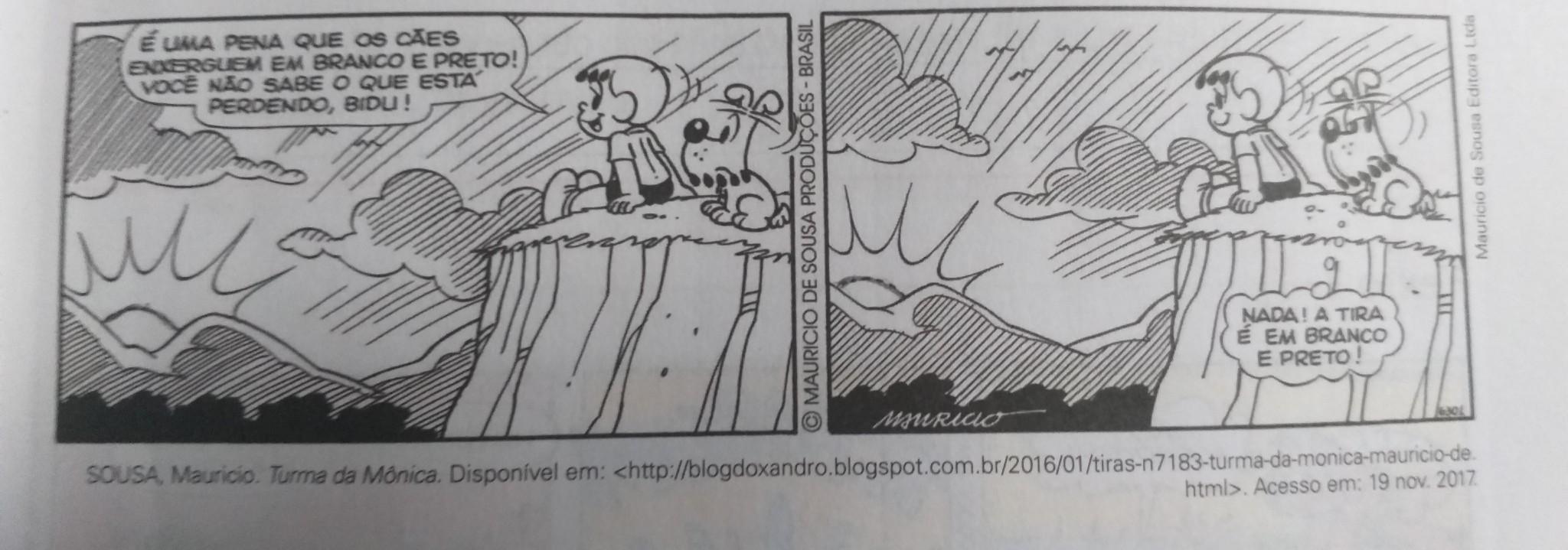 o que promove humor da tira?​