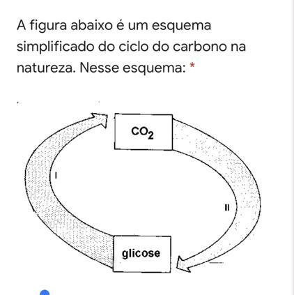 UrgenteA figura abaixo é um esquema simplificado do ciclo do carbono na natureza. Nesse esquema:A) I representa os seres vivo