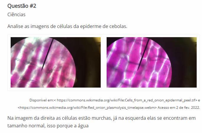 me ajudem por favor e para hoje