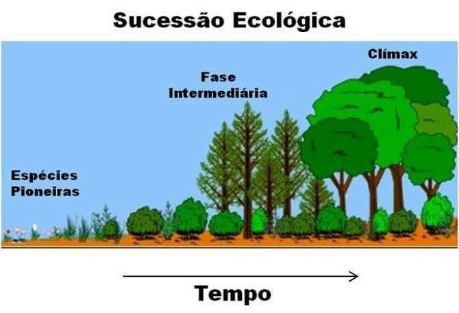Toda Matéria